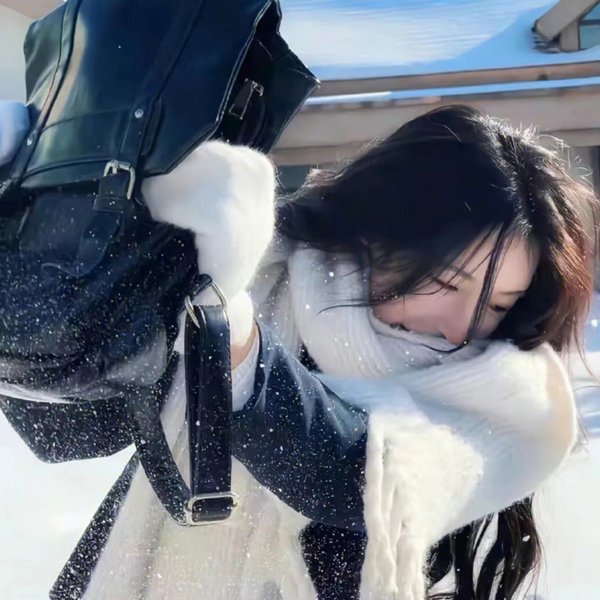飞天小女警第五季封面