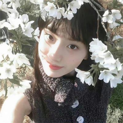 雏妓封面