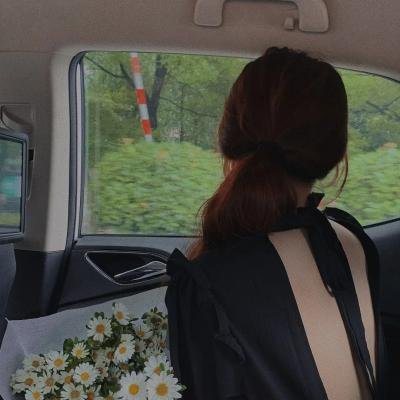 花旗少林封面